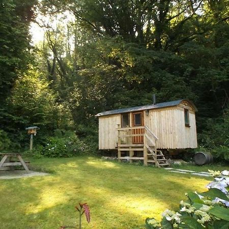 'Morris' The Shepherd'S Hut And Woodland Hot Tub Experience カーマーゼン エクステリア 写真