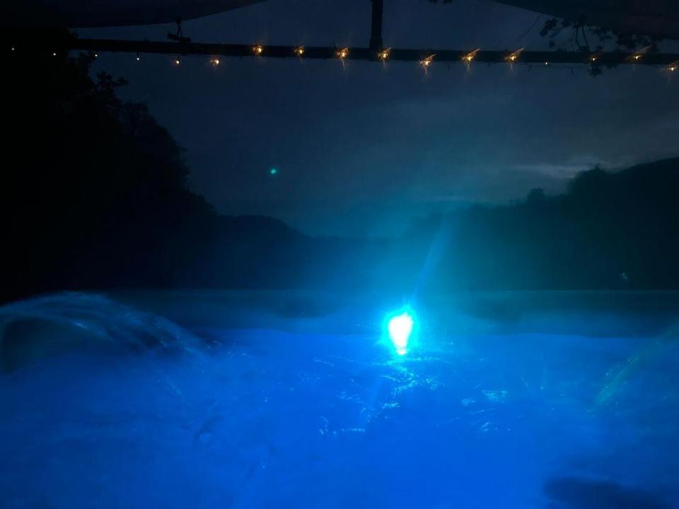'Morris' The Shepherd'S Hut And Woodland Hot Tub Experience カーマーゼン エクステリア 写真