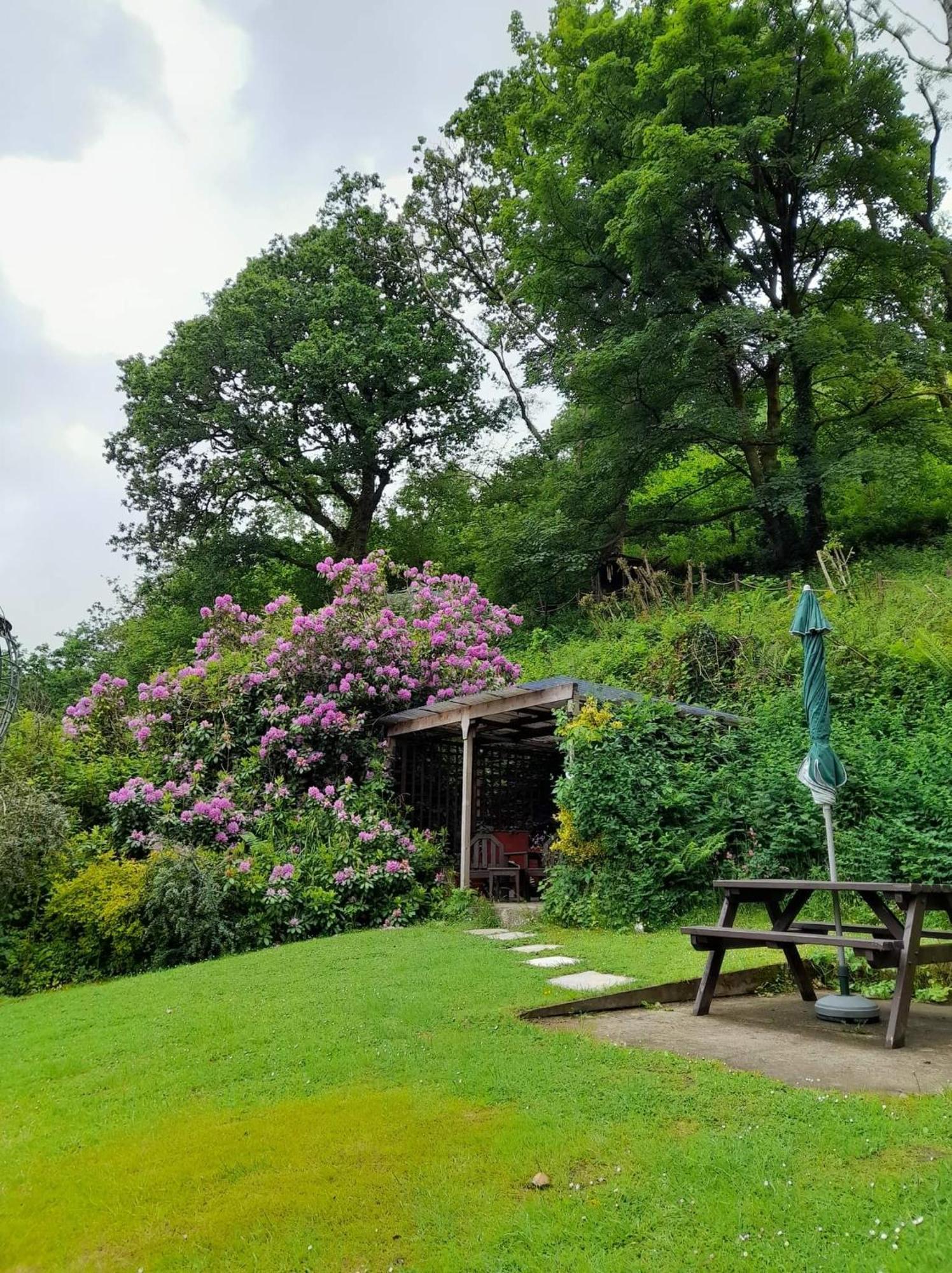 'Morris' The Shepherd'S Hut And Woodland Hot Tub Experience カーマーゼン エクステリア 写真