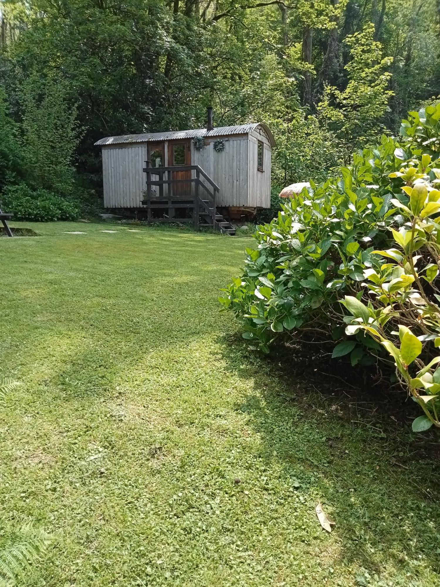 'Morris' The Shepherd'S Hut And Woodland Hot Tub Experience カーマーゼン エクステリア 写真