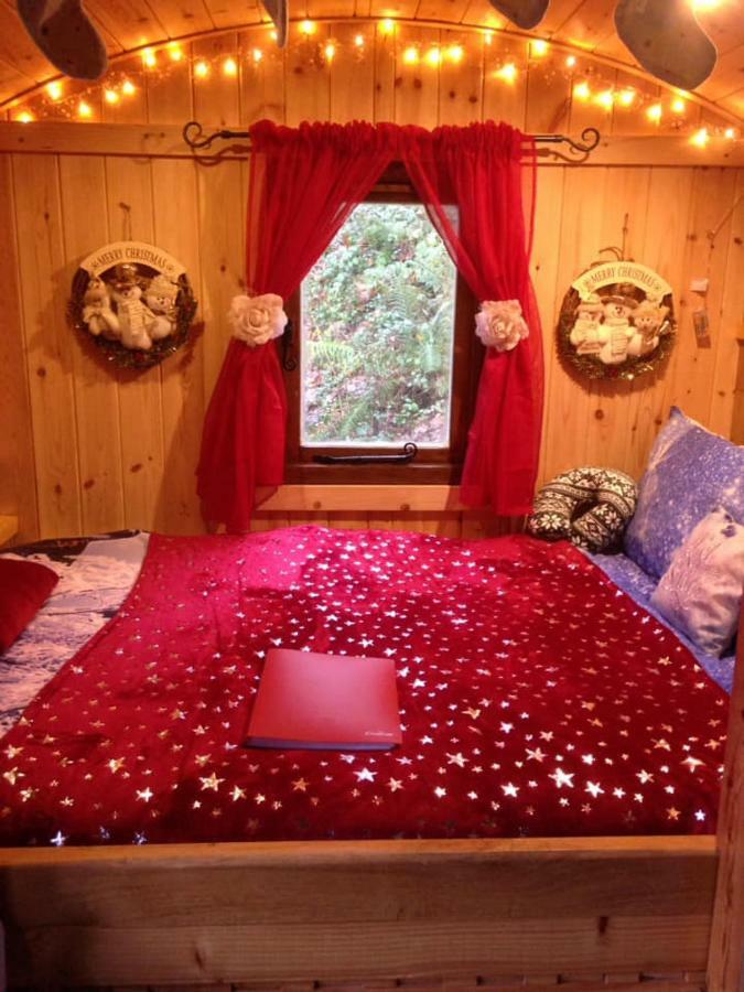 'Morris' The Shepherd'S Hut And Woodland Hot Tub Experience カーマーゼン エクステリア 写真