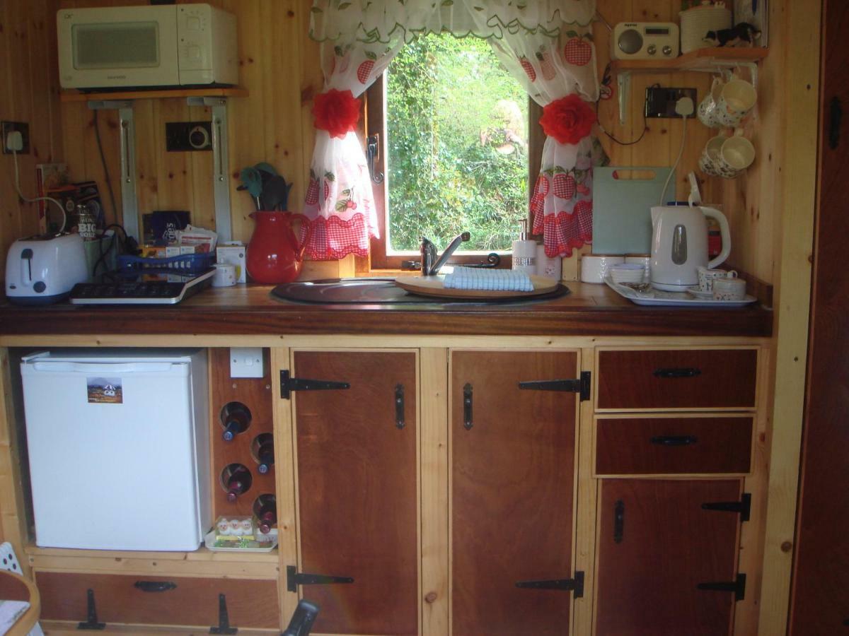 'Morris' The Shepherd'S Hut And Woodland Hot Tub Experience カーマーゼン エクステリア 写真