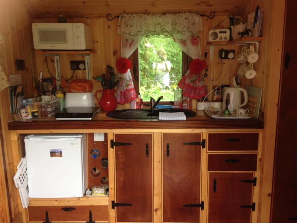 'Morris' The Shepherd'S Hut And Woodland Hot Tub Experience カーマーゼン エクステリア 写真