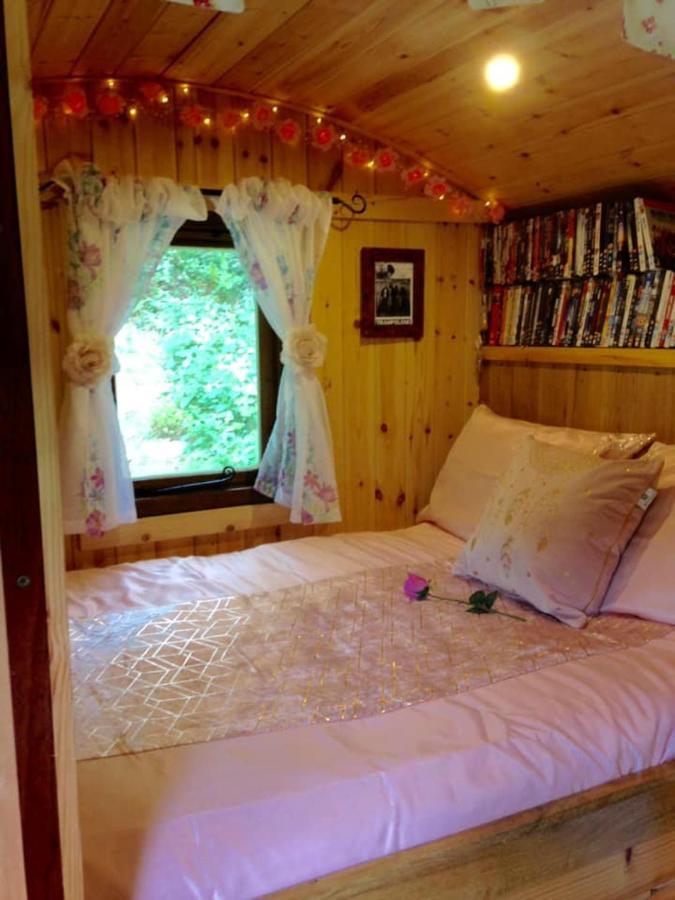 'Morris' The Shepherd'S Hut And Woodland Hot Tub Experience カーマーゼン エクステリア 写真